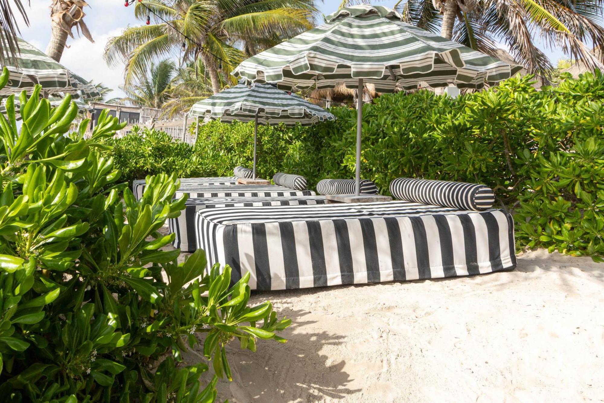 Hotel Panamera Tulum Dış mekan fotoğraf